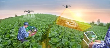 Common Mistakes in Agriculture Tech to Avoid